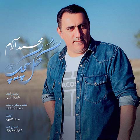 دانلود آهنگ محمد آرام گل پیچک