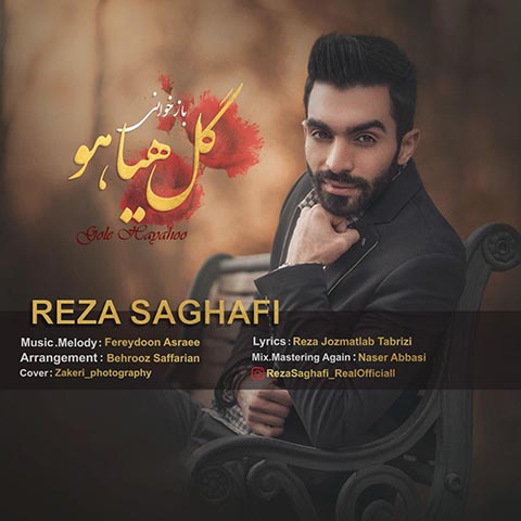 دانلود آهنگ رضا ثقفی گل هیاهو