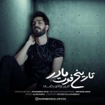دانلود آهنگ امیرعباص رضی تاریخ فوت مادر