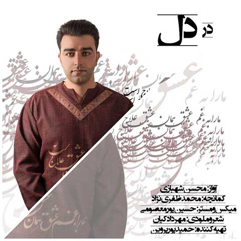 دانلود آهنگ محسن شهبازی در دل