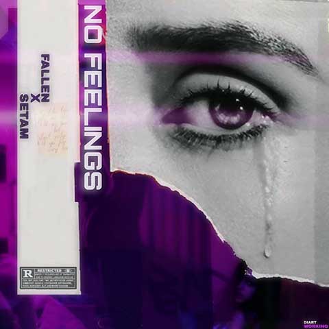 دانلود آهنگ جدید ستم و فالن No Feelings
