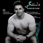 دانلود آهنگ داریوش زارع دلتنگی