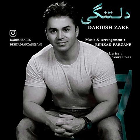 دانلود آهنگ داریوش زارع دلتنگی