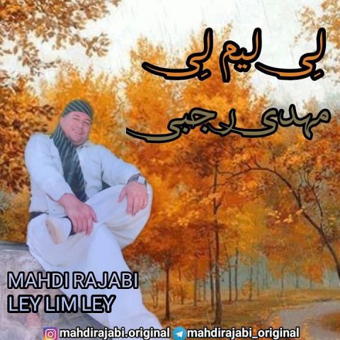 دانلود آهنگ مهدی رجبی لی لیم لی