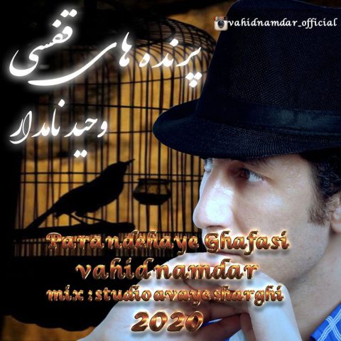دانلود آهنگ وحید نامدار پرنده های قفسی