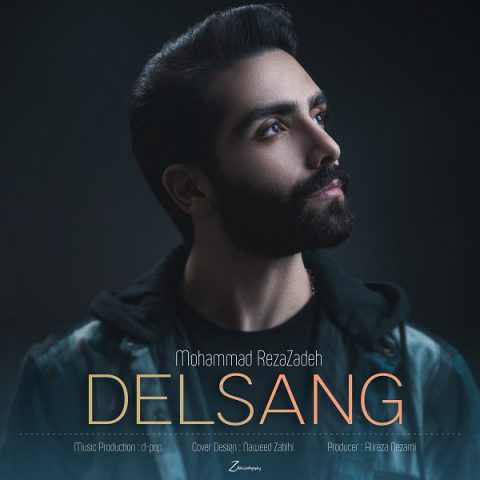 دانلود آهنگ محمد رضازاده دل سنگ