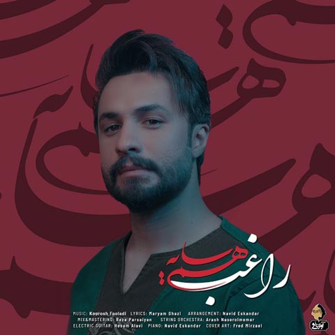 دانلود آهنگ راغب هم سایه